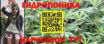твердый Канаш